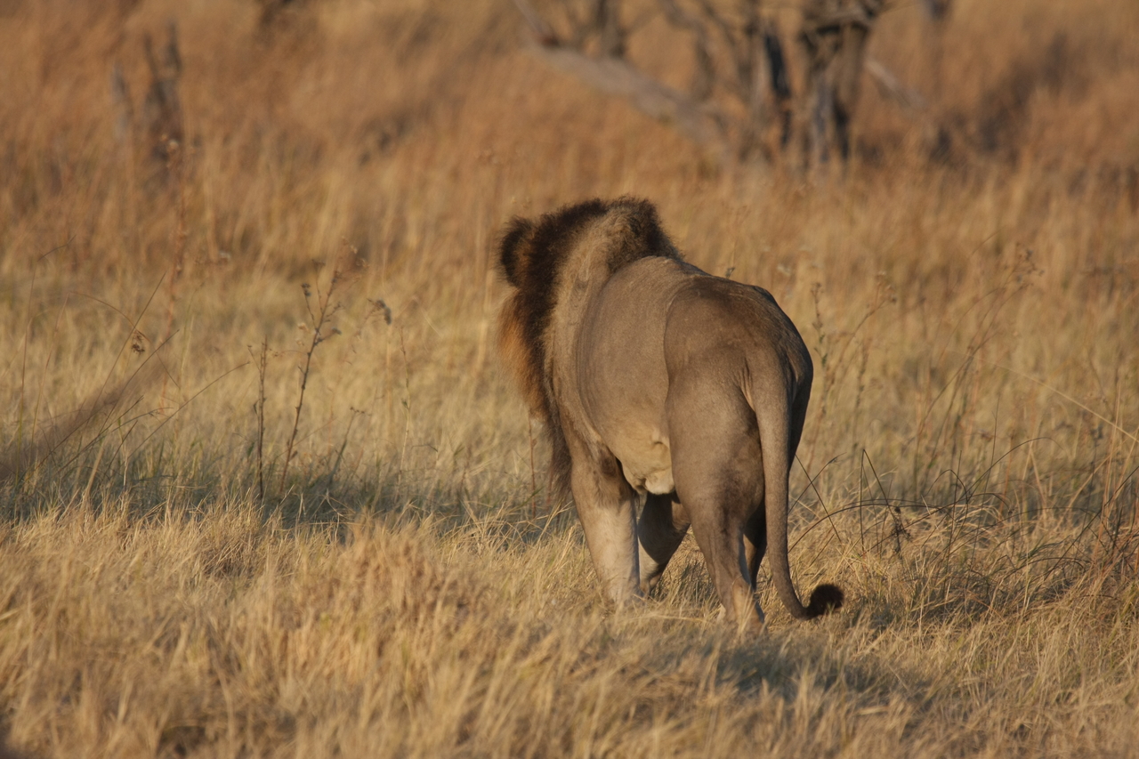 [22667] 2016_06_30_01_42_11_Africa_Canon_EOS_40D_IMG__04406.jpg