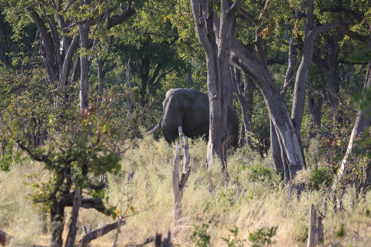 [22810] 2016_06_30_02_07_39_Africa_Canon_EOS_40D_IMG__00006.jpg