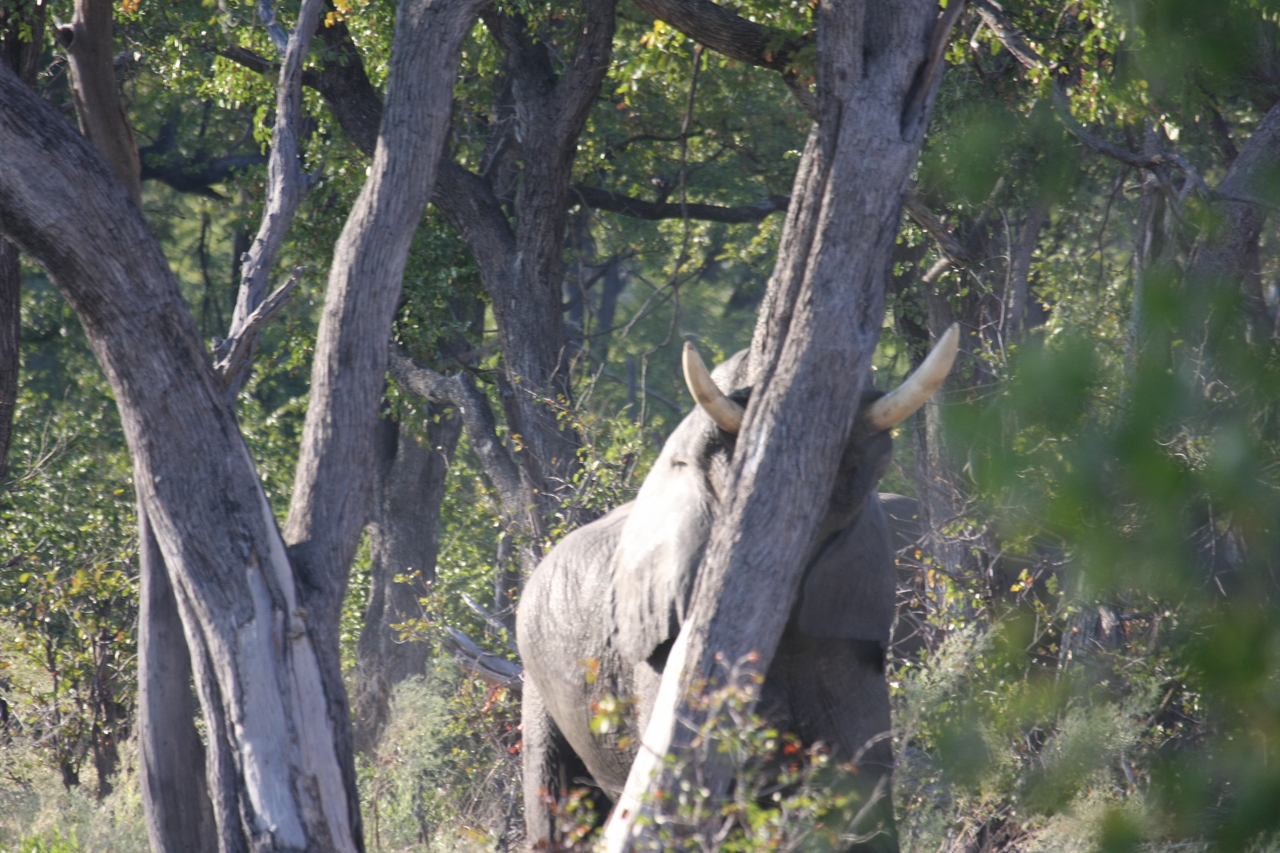 [22841] 2016_06_30_02_08_06_Africa_Canon_EOS_40D_IMG__11189.jpg