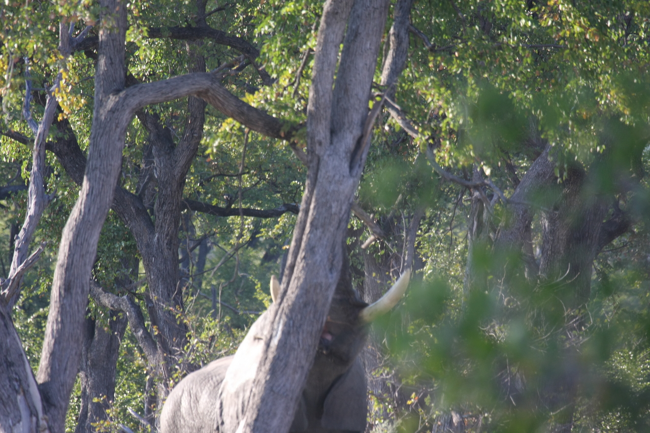 [22865] 2016_06_30_02_08_10_Africa_Canon_EOS_40D_IMG__11197.jpg