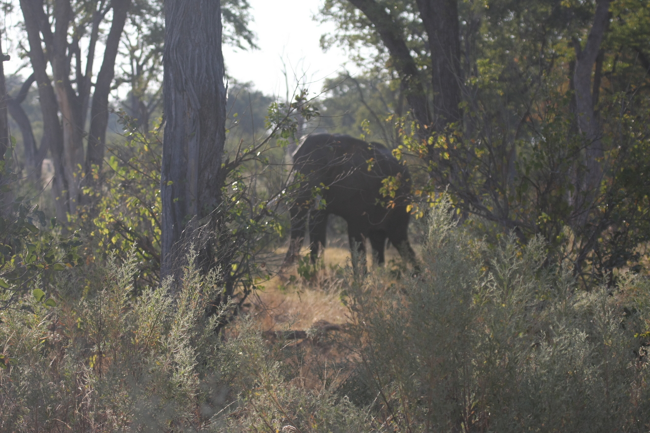 [22949] 2016_06_30_02_13_45_Africa_Canon_EOS_40D_IMG__00057.jpg