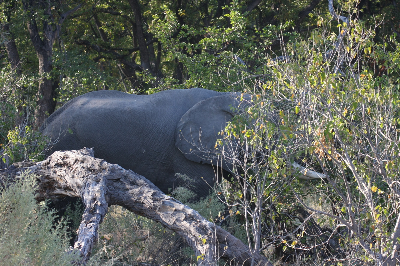 [23021] 2016_06_30_02_19_30_Africa_Canon_EOS_40D_IMG__00068.jpg