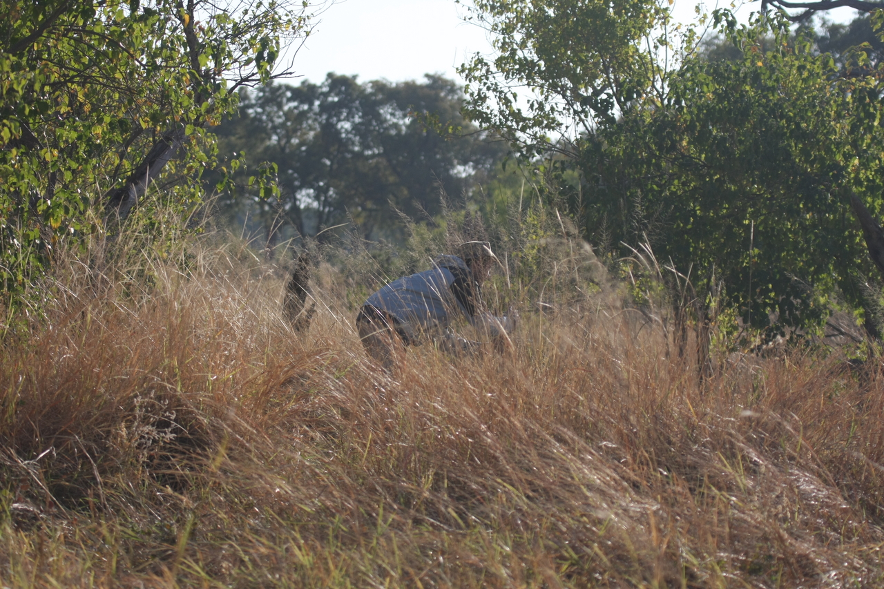 [23077] 2016_06_30_02_27_19_Africa_Canon_EOS_40D_IMG__11261.jpg