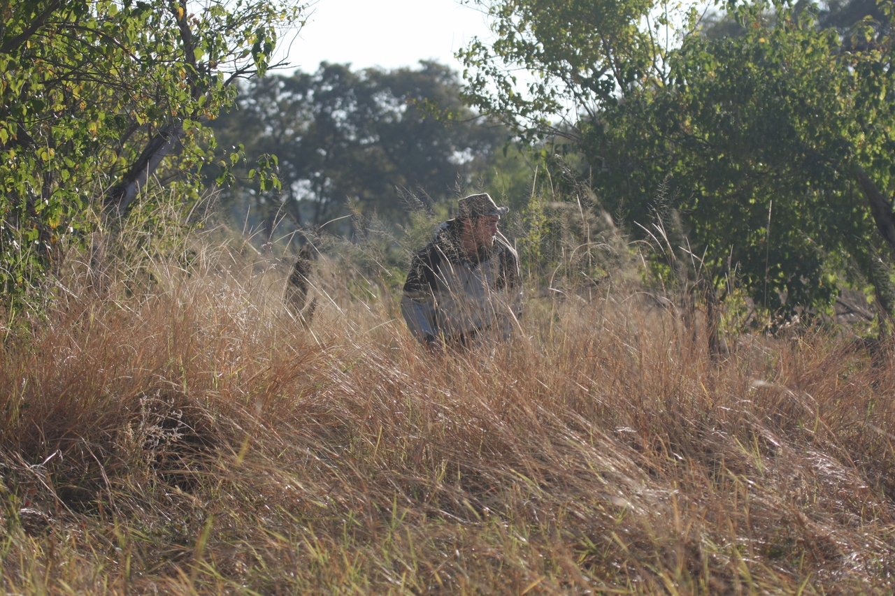 [23090] 2016_06_30_02_27_51_Africa_Canon_EOS_40D_IMG__11265.jpg