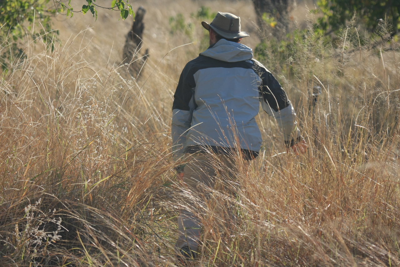 [23125] 2016_06_30_02_29_42_Africa_Canon_EOS_40D_IMG__11279.jpg