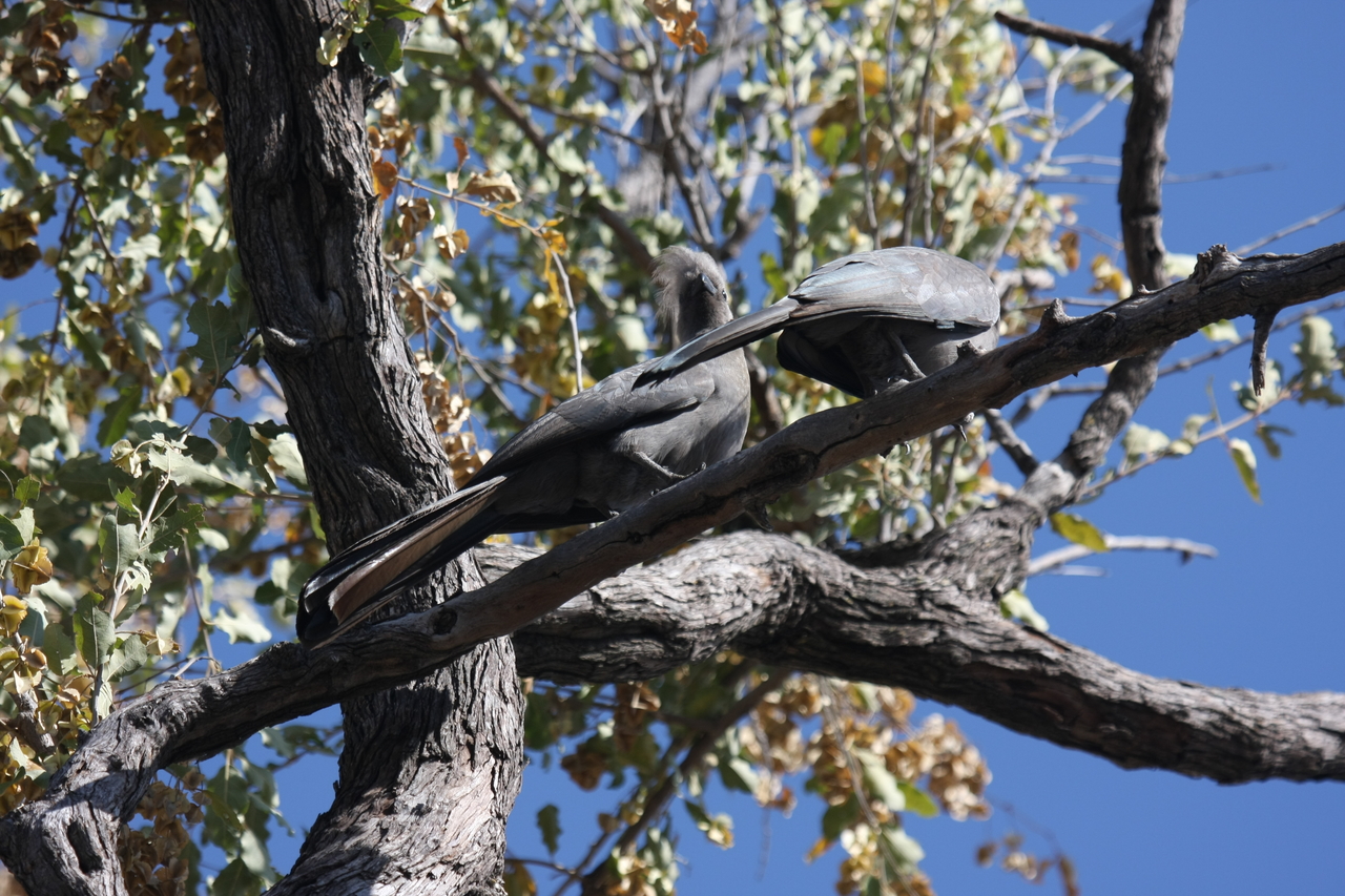 [23524] 2016_06_30_04_19_12_Africa_Canon_EOS_40D_IMG__11399.jpg