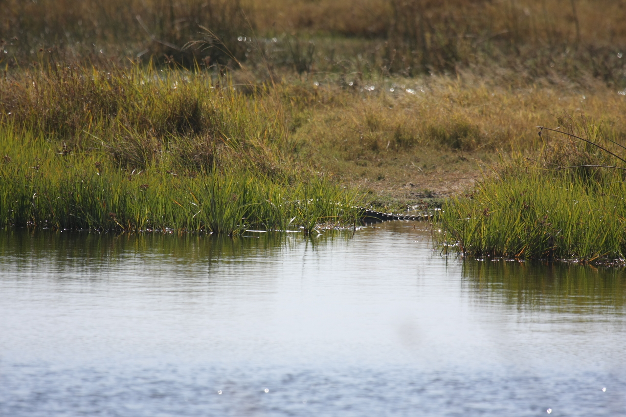 [23540] 2016_06_30_04_55_43_Africa_Canon_EOS_40D_IMG__11405.jpg