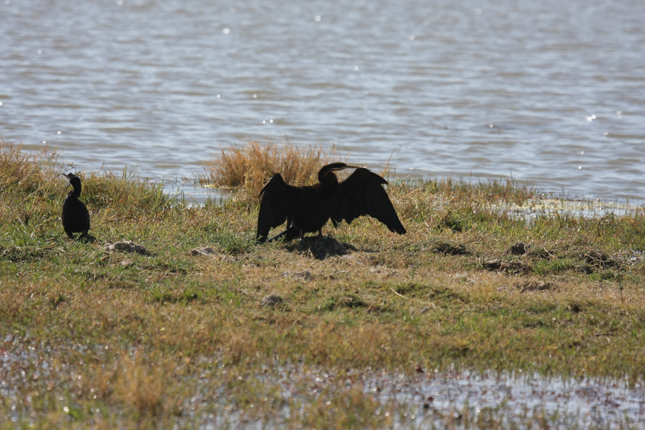 [23903] 2016_06_30_05_25_28_Africa_Canon_EOS_40D_IMG__11511.jpg