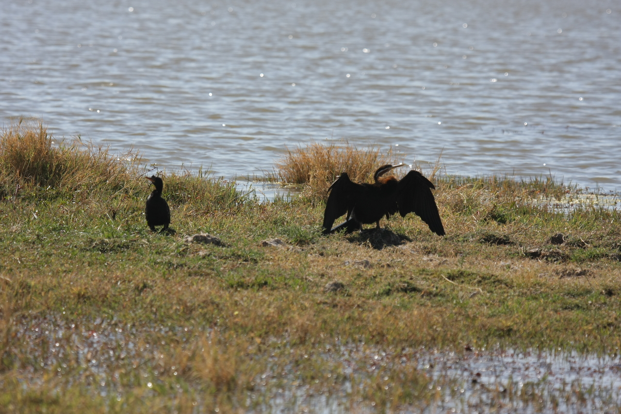 [23909] 2016_06_30_05_25_32_Africa_Canon_EOS_40D_IMG__11513.jpg