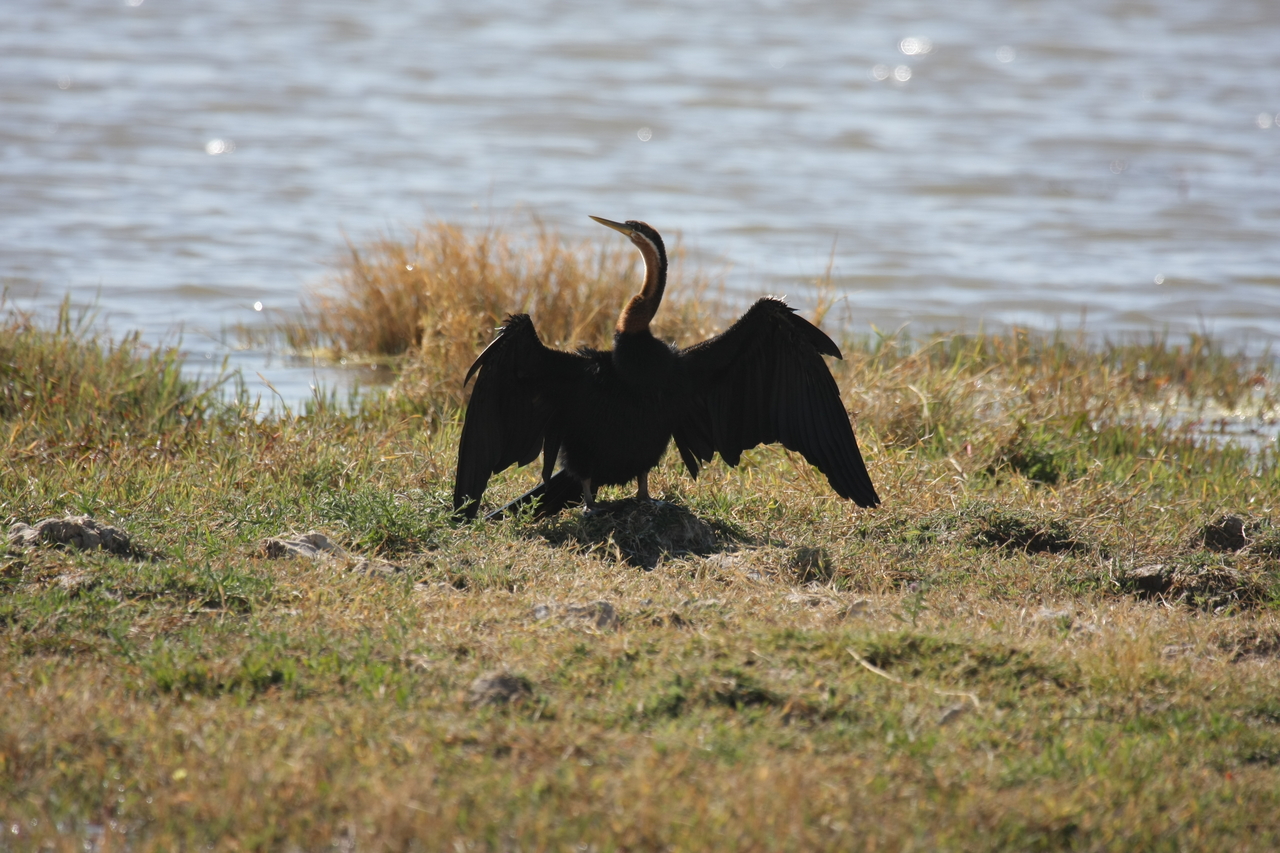 [23915] 2016_06_30_05_25_38_Africa_Canon_EOS_40D_IMG__04069.jpg