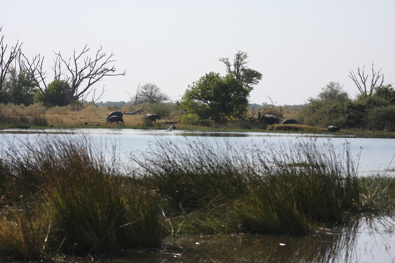 [24739] 2016_06_30_09_06_03_Africa_Canon_EOS_40D_IMG__11787.jpg