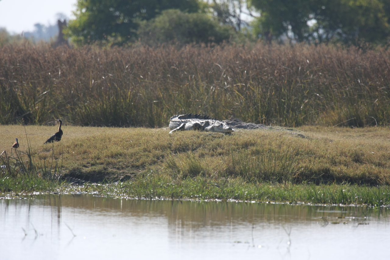 [24781] 2016_06_30_09_09_54_Africa_Canon_EOS_40D_IMG__04355.jpg