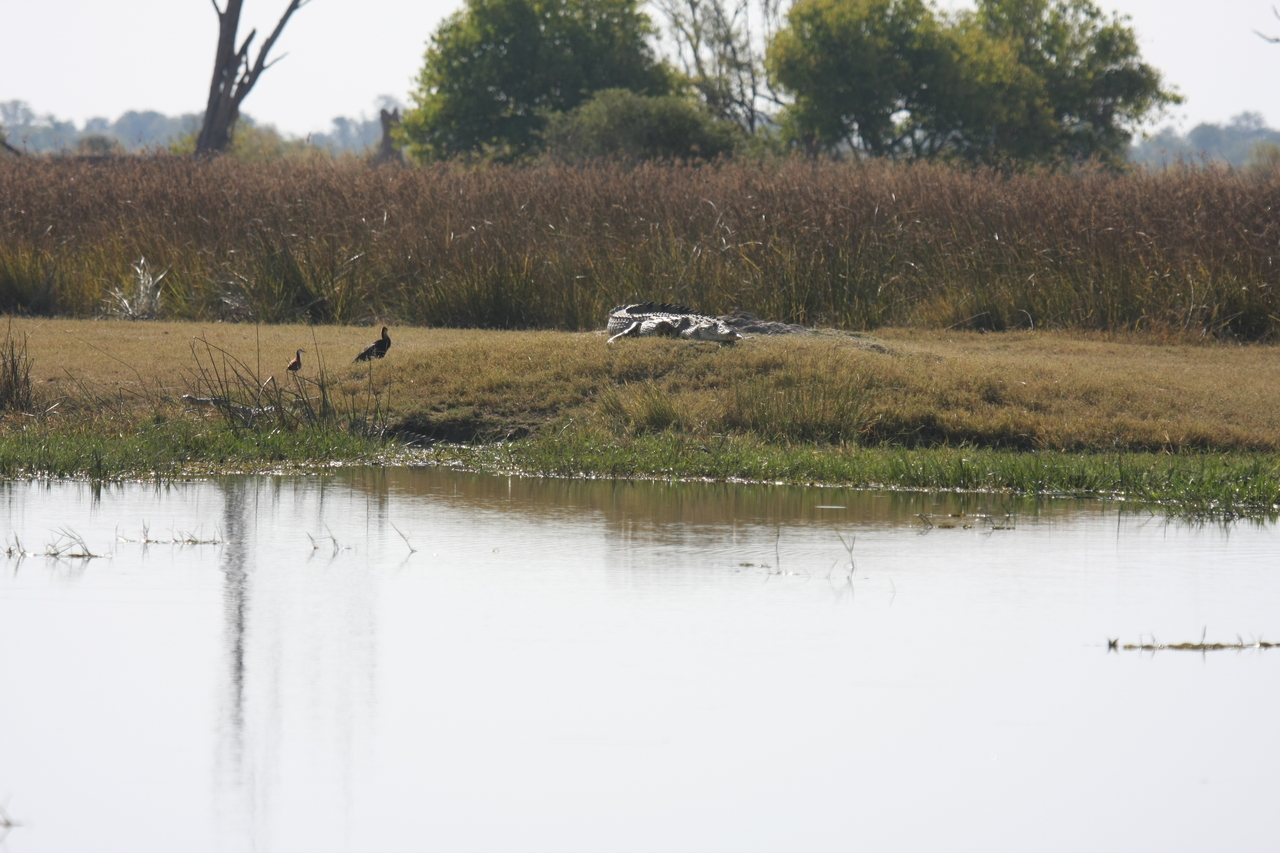 [24790] 2016_06_30_09_10_00_Africa_Canon_EOS_40D_IMG__11805.jpg