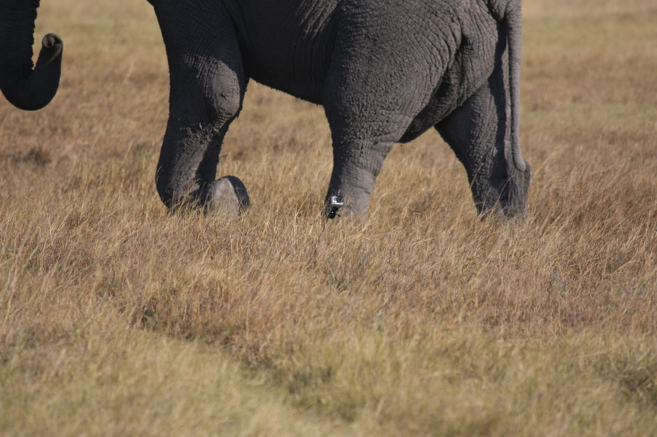 [25175] 2016_06_30_10_09_33_Africa_Canon_EOS_40D_IMG__00769.jpg