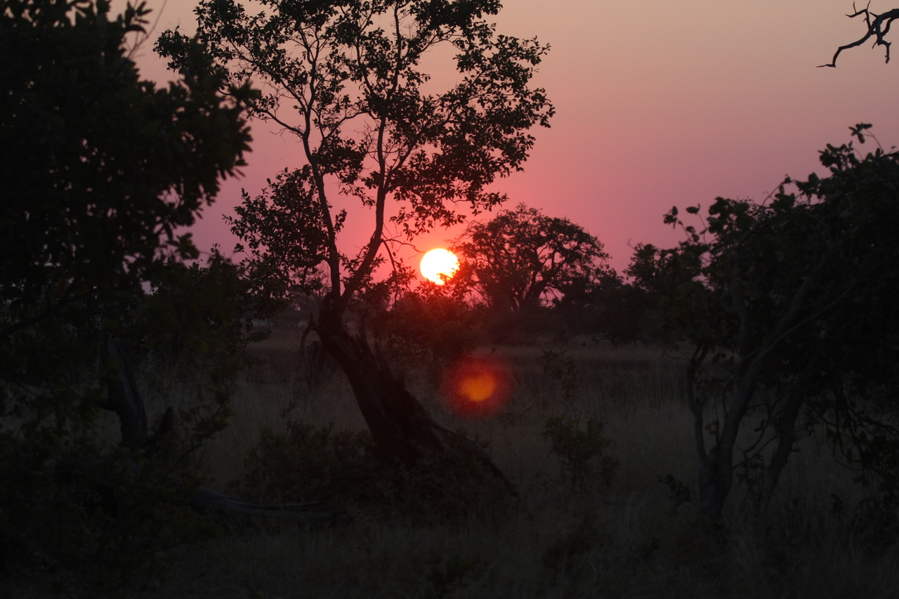 [25210] 2016_06_30_11_53_36_Africa_Canon_EOS_40D_IMG__11949.jpg