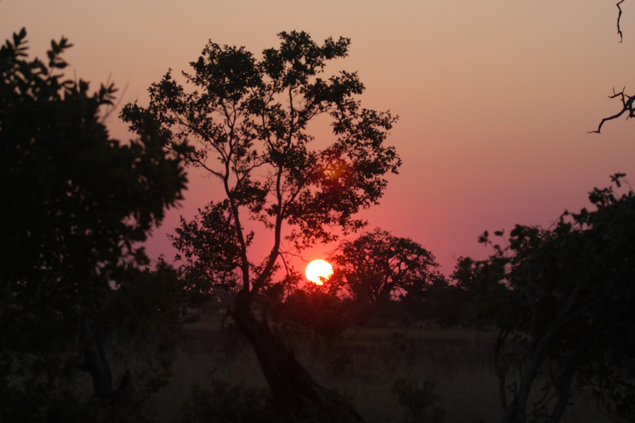 [25211] 2016_06_30_11_53_39_Africa_Canon_EOS_40D_IMG__00777.jpg