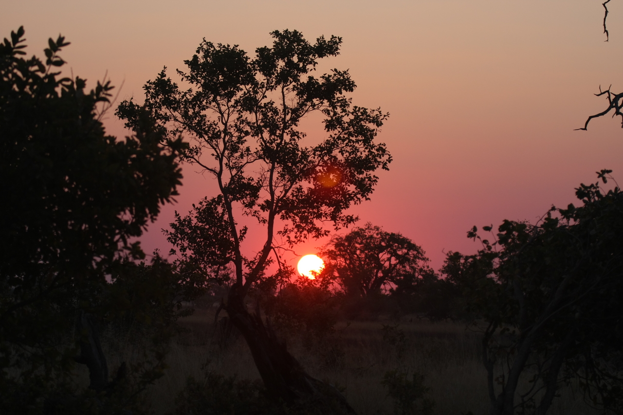 [25222] 2016_06_30_11_53_42_Africa_Canon_EOS_40D_IMG__04509.jpg