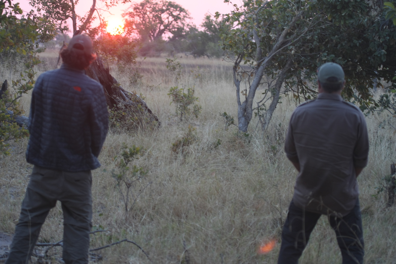 [25258] 2016_06_30_11_54_33_Africa_Canon_EOS_40D_IMG__00795.jpg