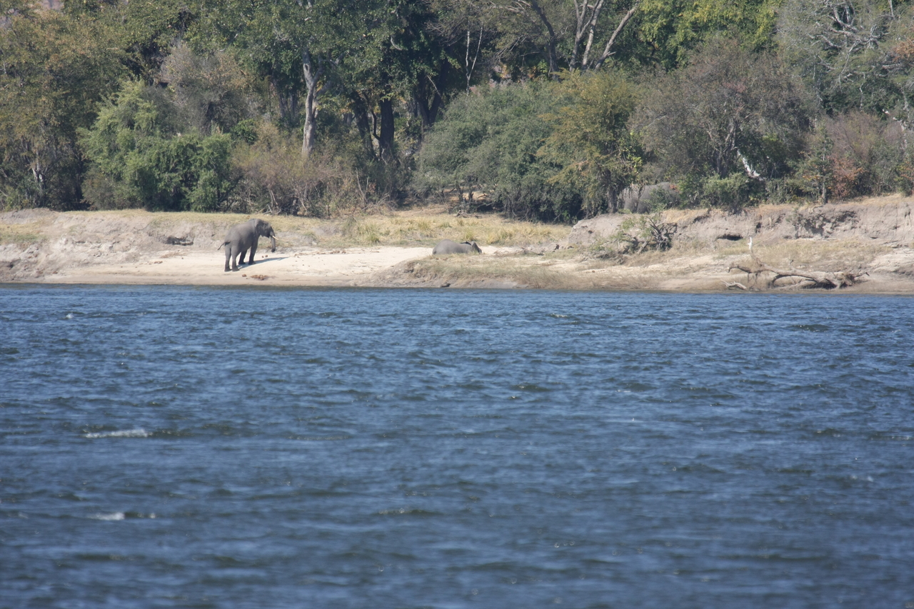 [27855] 2016_07_02_07_53_39_Africa_Canon_EOS_40D_IMG__00004.jpg