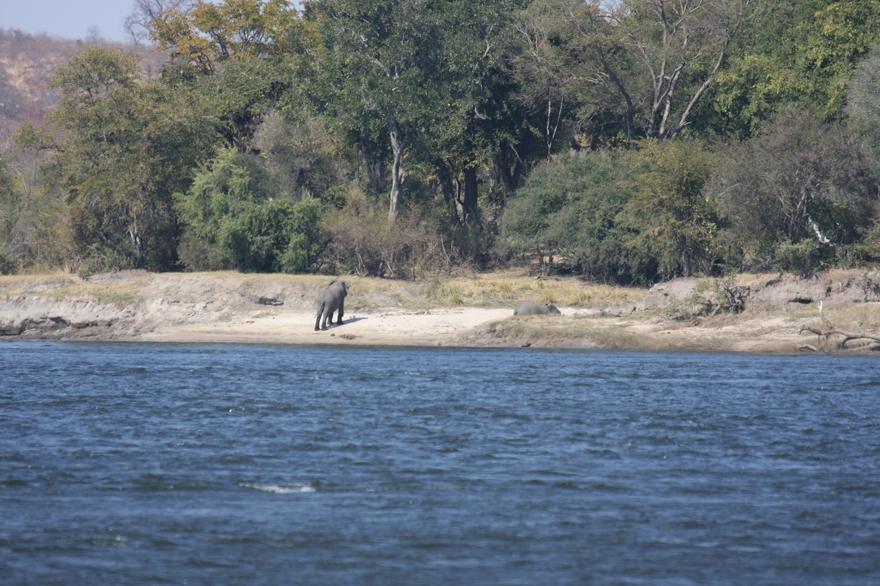 [27867] 2016_07_02_07_53_42_Africa_Canon_EOS_40D_IMG__11995.jpg
