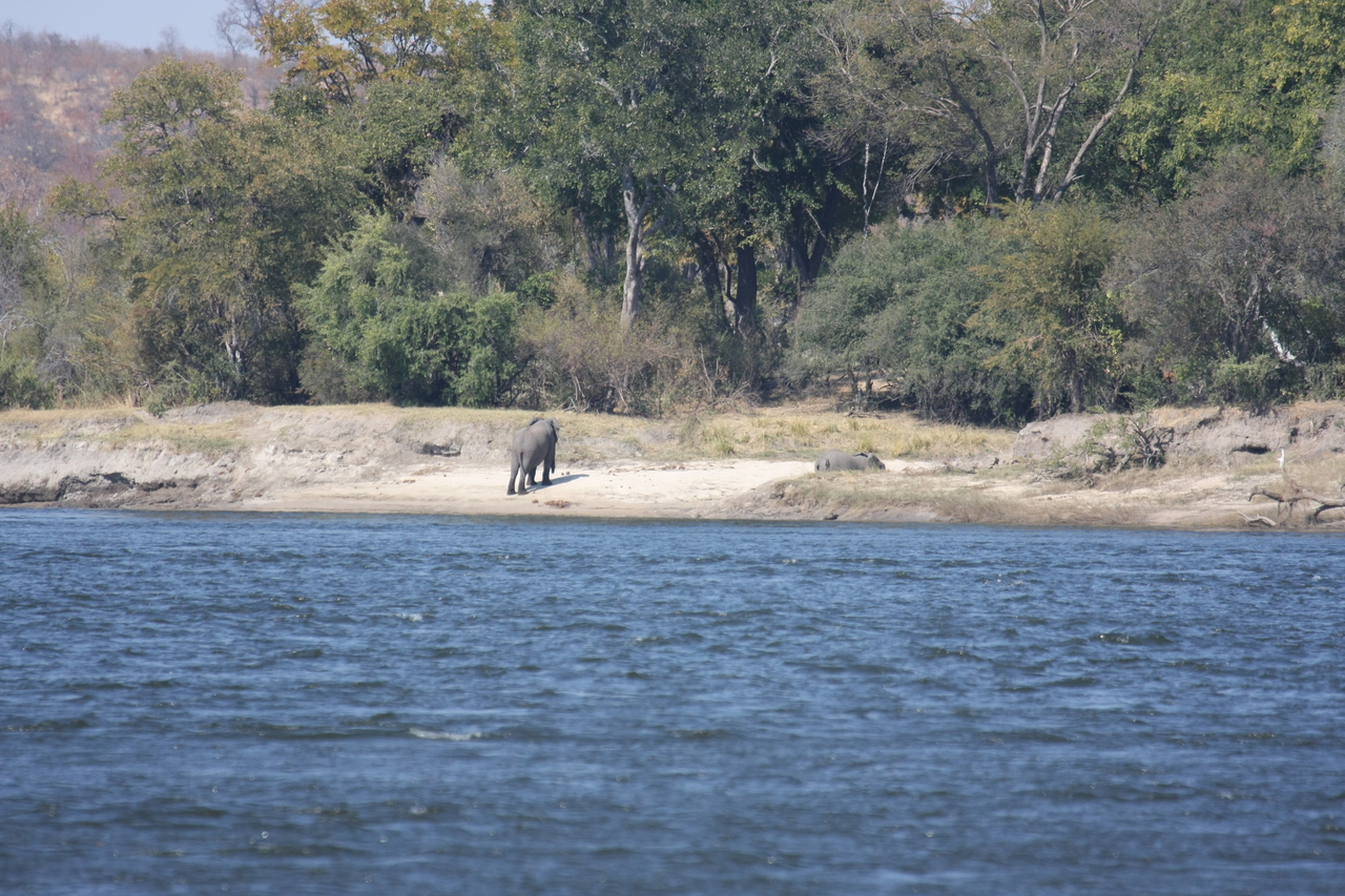 [27869] 2016_07_02_07_53_42_Africa_Canon_EOS_40D_IMG__11997.jpg