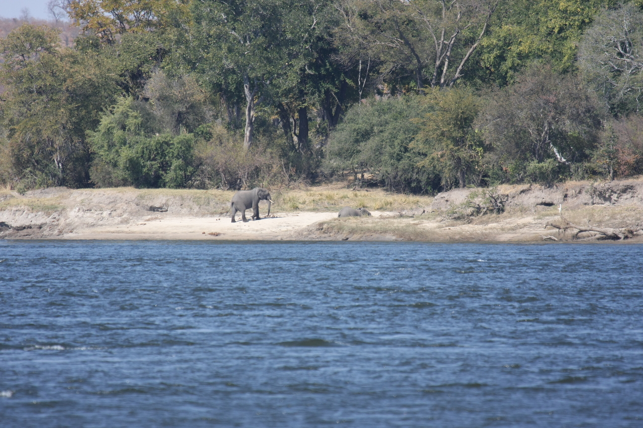 [27870] 2016_07_02_07_53_54_Africa_Canon_EOS_40D_IMG__00008.jpg