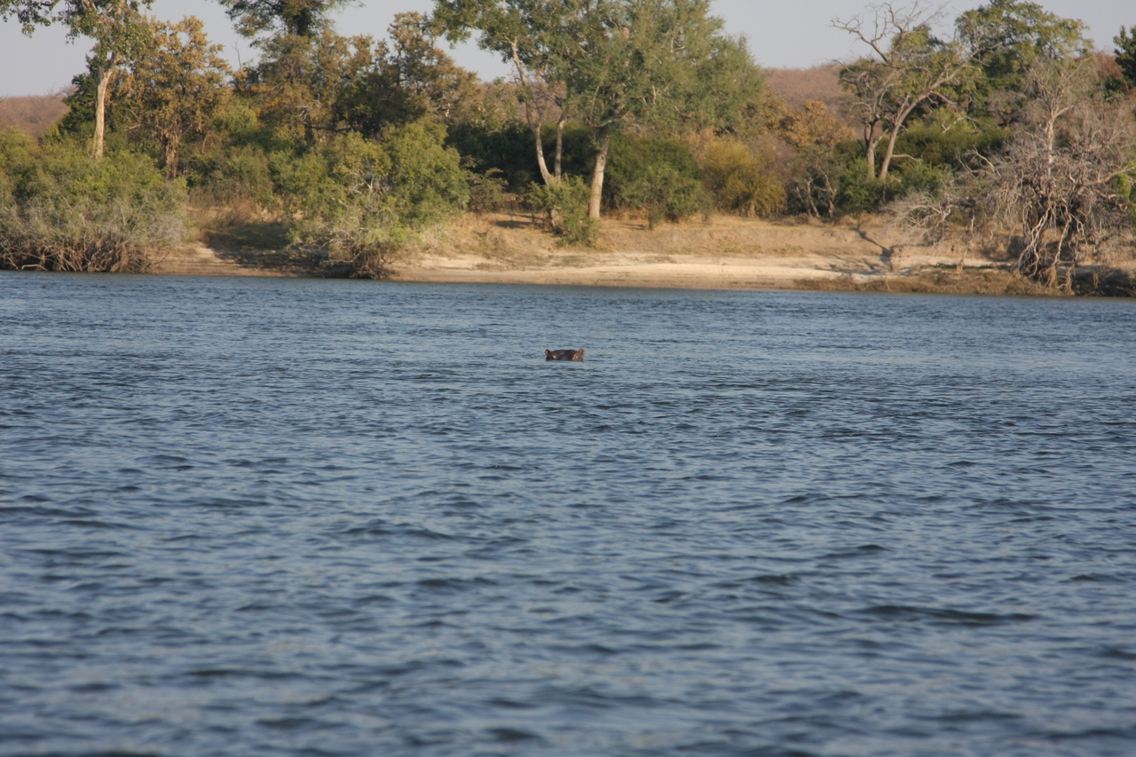 [28148] 2016_07_02_10_17_48_Africa_Canon_EOS_40D_IMG__04569.jpg
