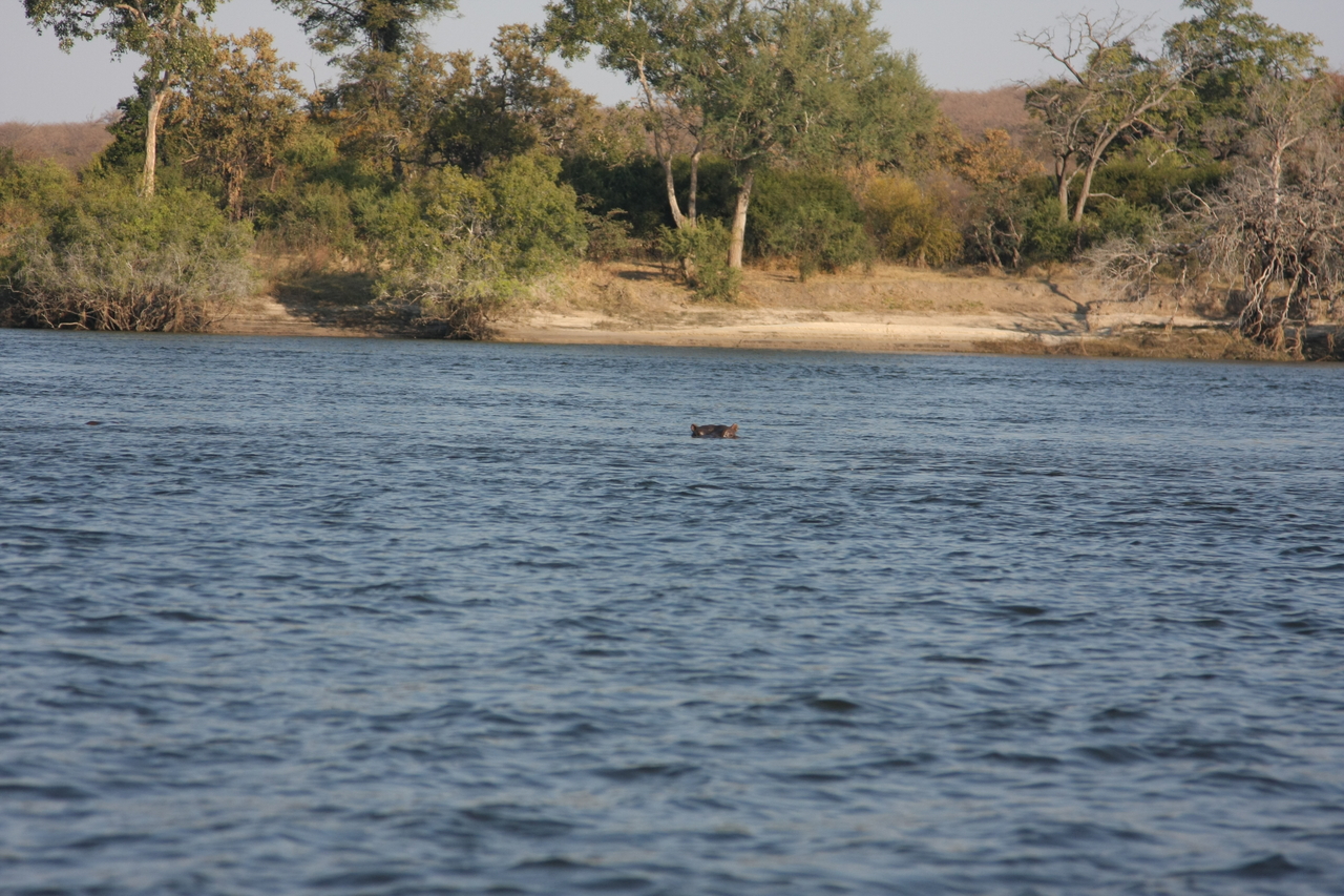 [28151] 2016_07_02_10_17_48_Africa_Canon_EOS_40D_IMG__12017.jpg