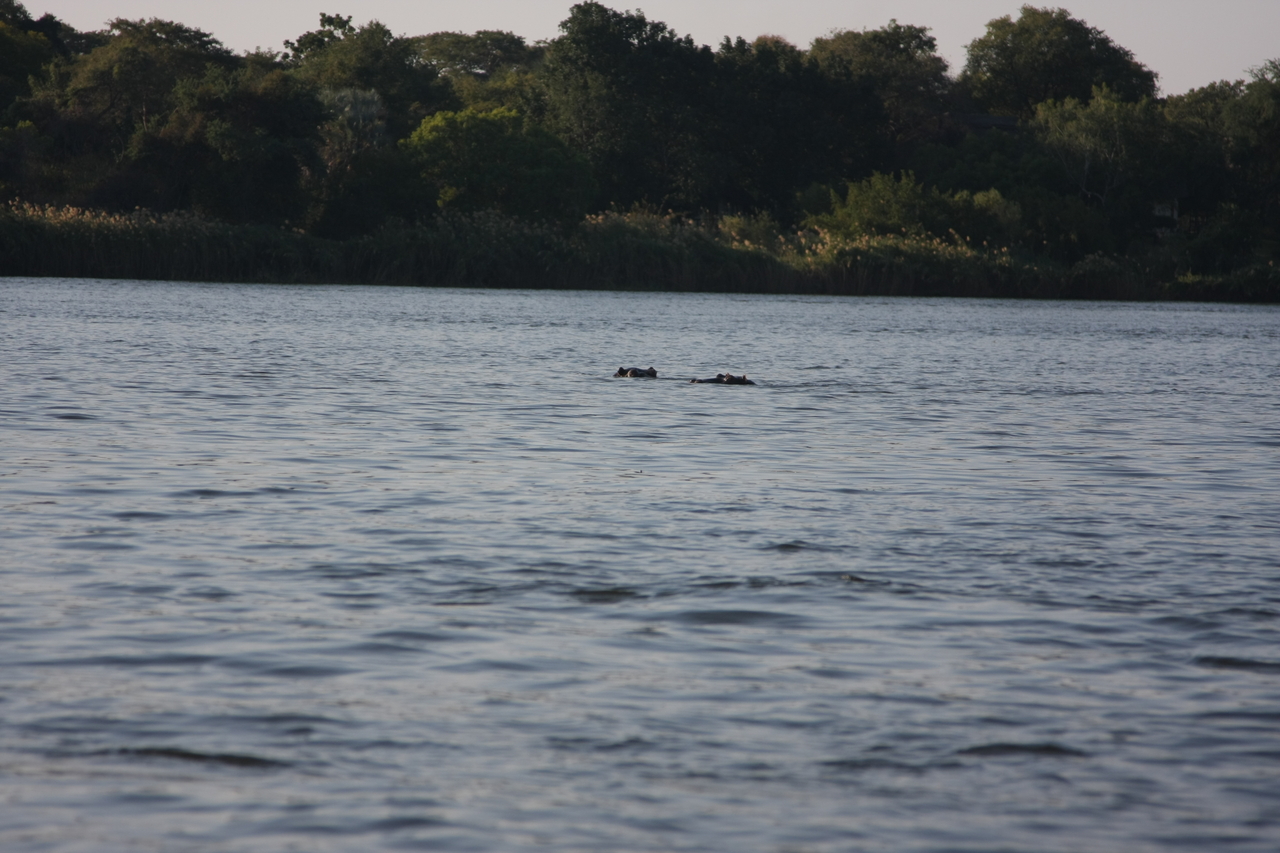 [28165] 2016_07_02_10_20_44_Africa_Canon_EOS_40D_IMG__00033.jpg
