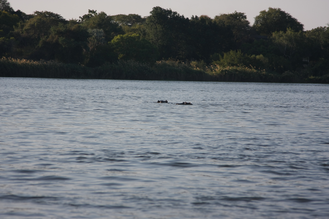 [28166] 2016_07_02_10_20_44_Africa_Canon_EOS_40D_IMG__00034.jpg