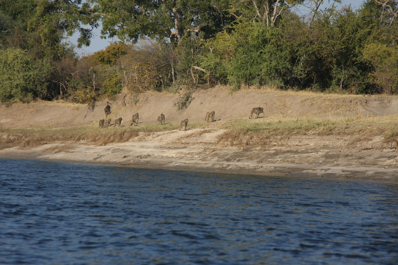 [28219] 2016_07_02_10_26_38_Africa_Canon_EOS_40D_IMG__00051.jpg
