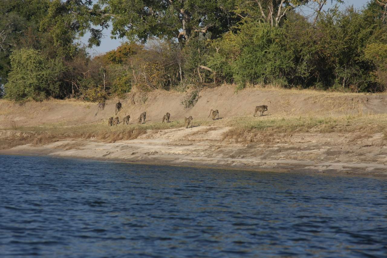 [28222] 2016_07_02_10_26_38_Africa_Canon_EOS_40D_IMG__12040.jpg