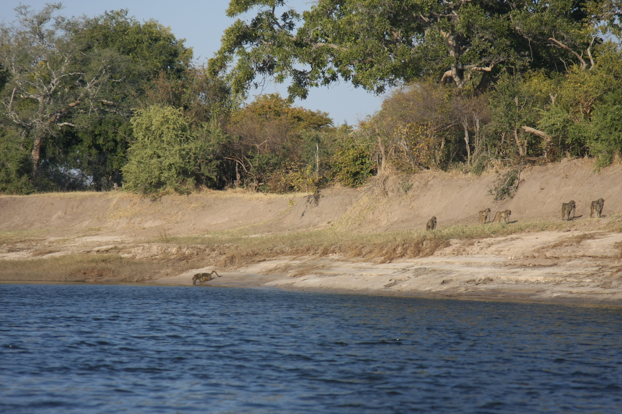 [28224] 2016_07_02_10_26_57_Africa_Canon_EOS_40D_IMG__00052.jpg