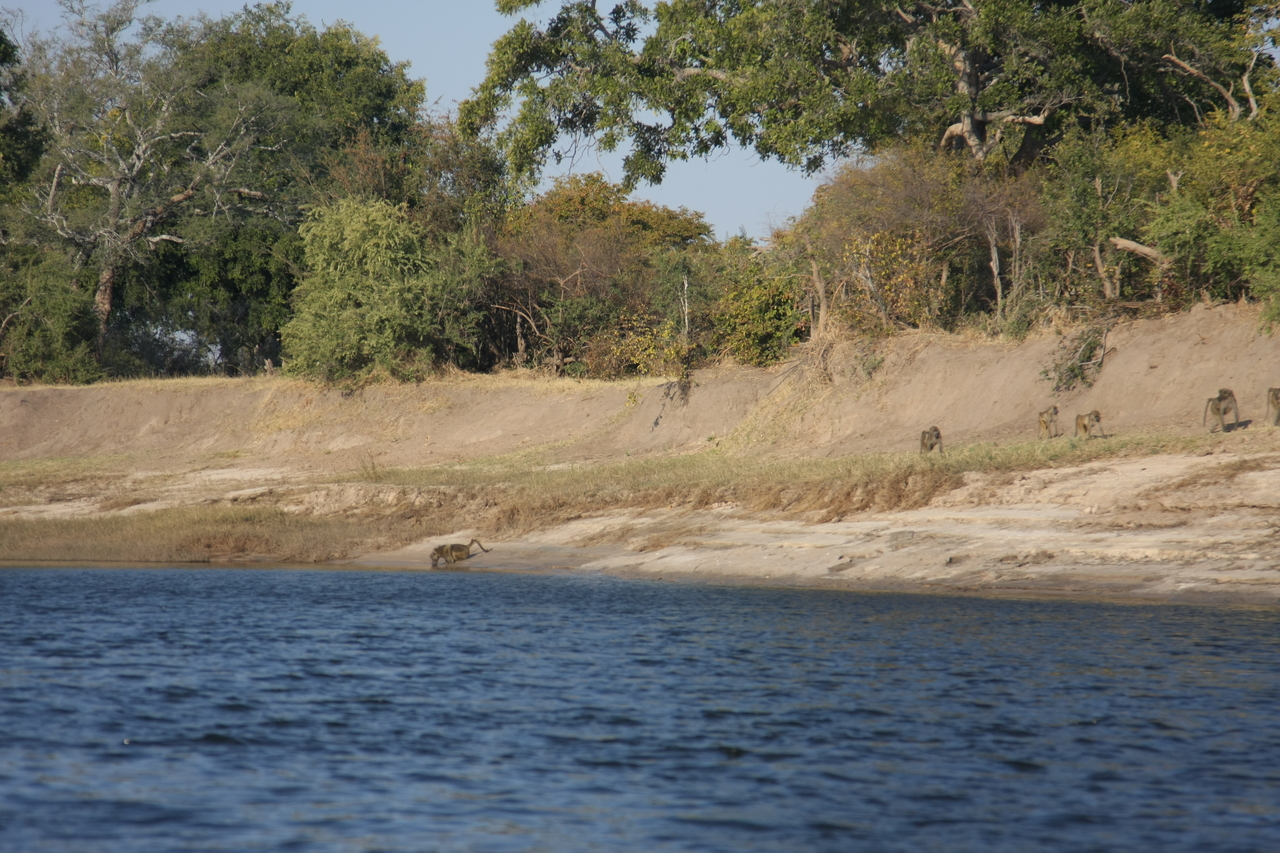 [28226] 2016_07_02_10_26_57_Africa_Canon_EOS_40D_IMG__00054.jpg