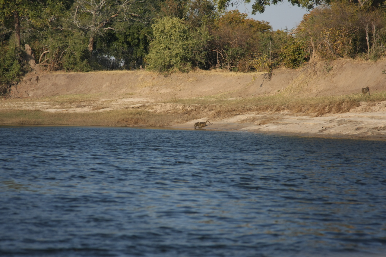 [28233] 2016_07_02_10_27_01_Africa_Canon_EOS_40D_IMG__00055.jpg