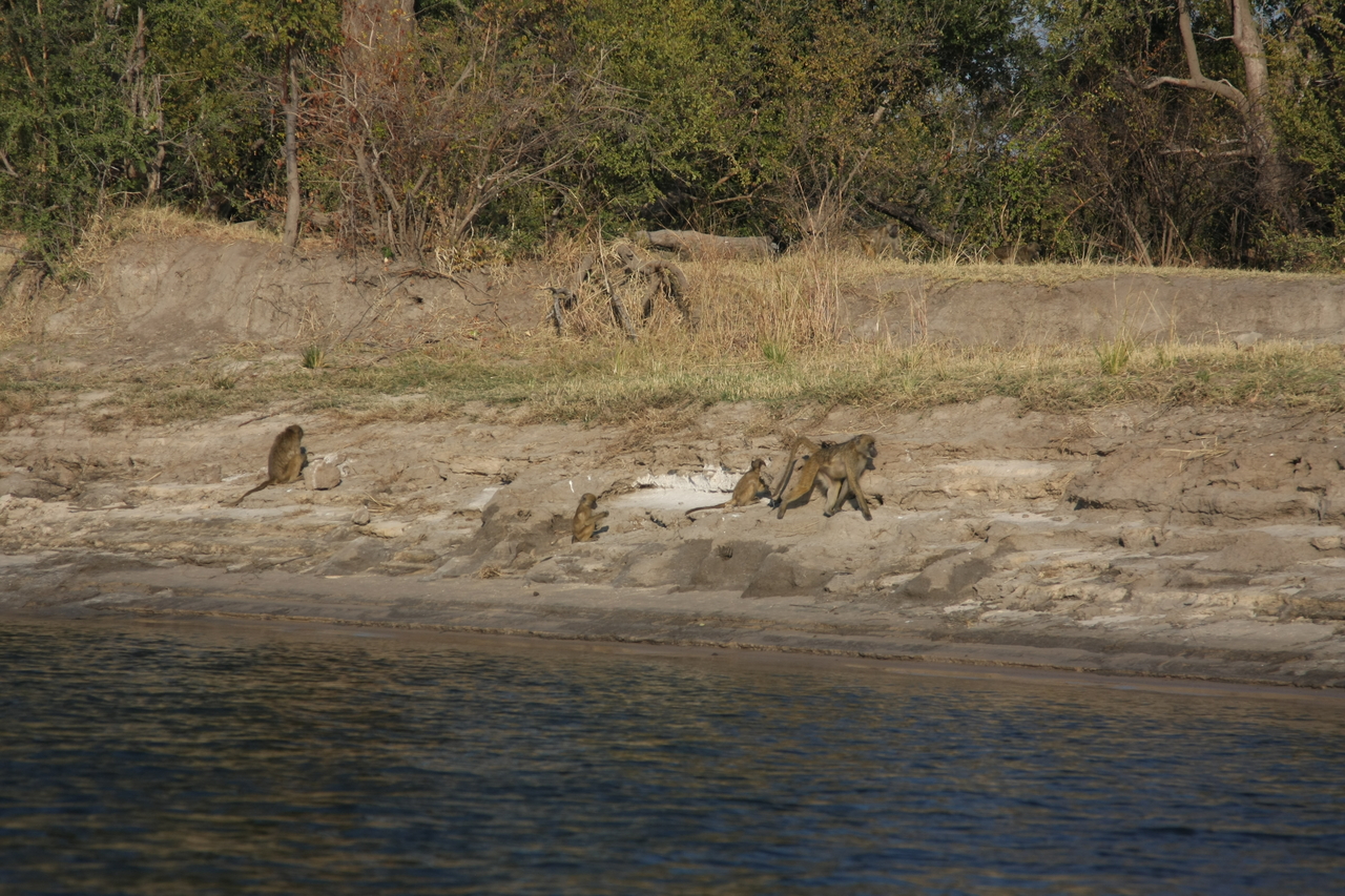 [28258] 2016_07_02_10_27_40_Africa_Canon_EOS_40D_IMG__00065.jpg
