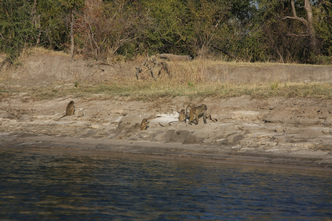 [28259] 2016_07_02_10_27_40_Africa_Canon_EOS_40D_IMG__04607.jpg