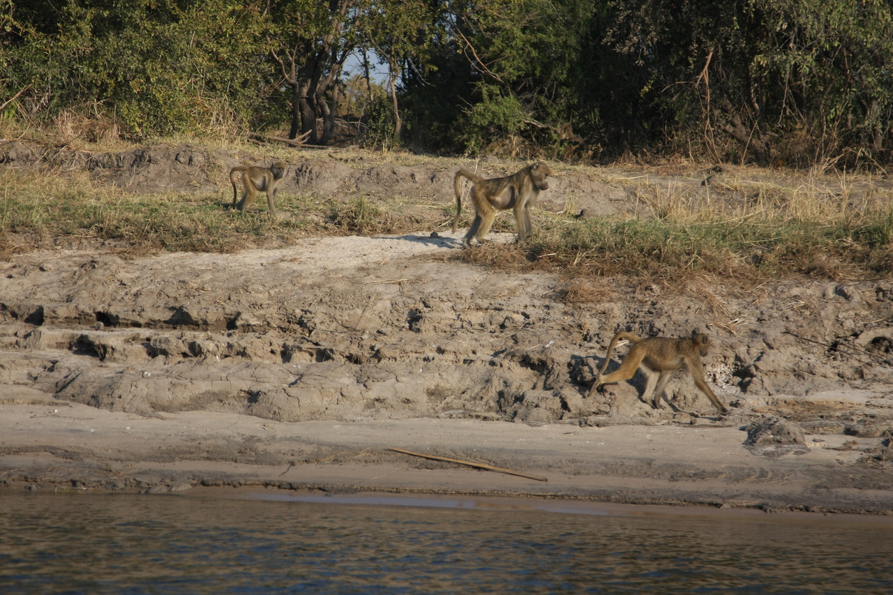 [28264] 2016_07_02_10_27_49_Africa_Canon_EOS_40D_IMG__00067.jpg
