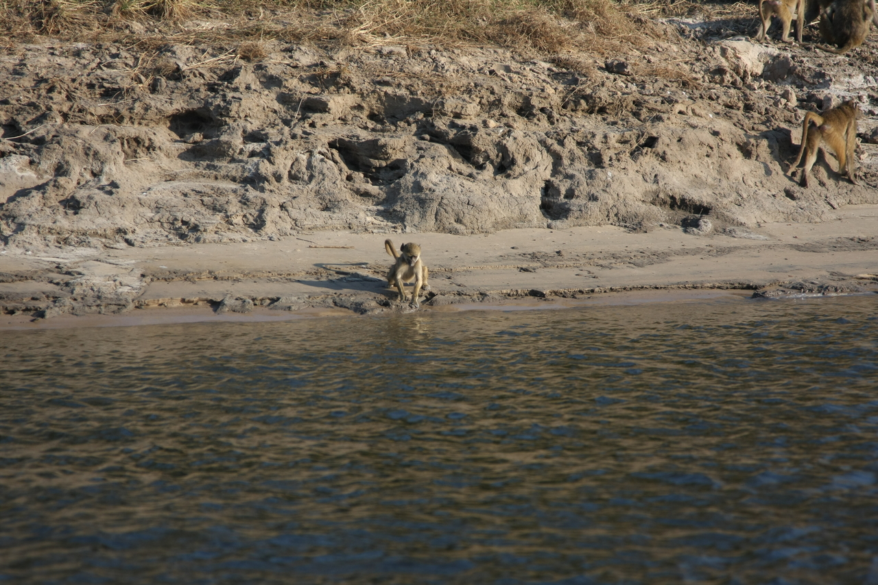 [28298] 2016_07_02_10_28_22_Africa_Canon_EOS_40D_IMG__12068.jpg