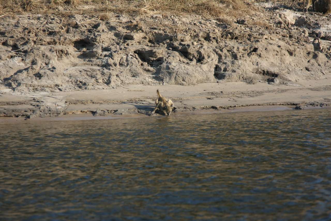 [28299] 2016_07_02_10_28_23_Africa_Canon_EOS_40D_IMG__00079.jpg