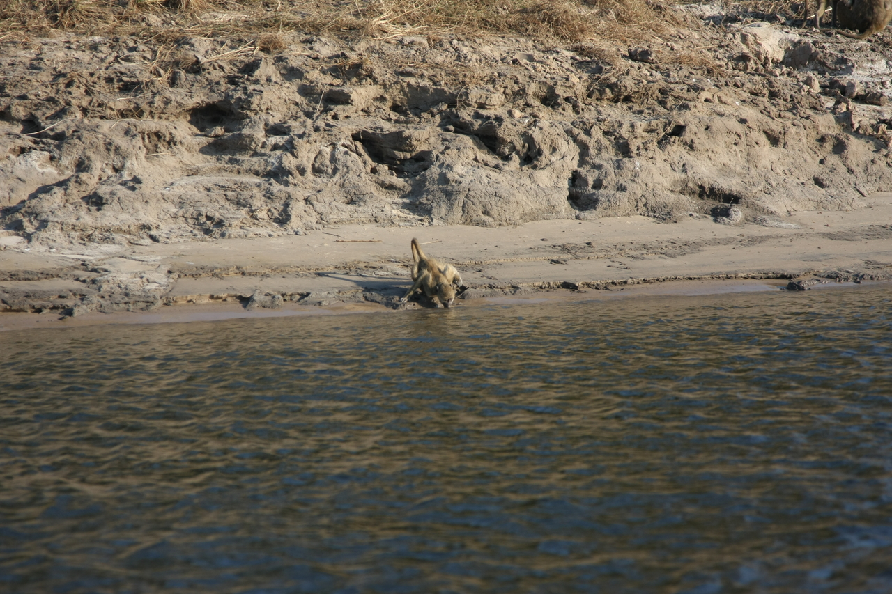 [28302] 2016_07_02_10_28_24_Africa_Canon_EOS_40D_IMG__00081.jpg