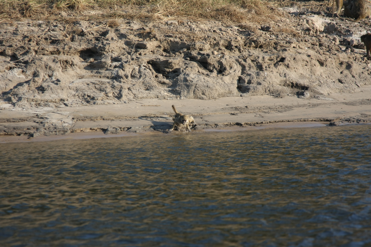 [28309] 2016_07_02_10_28_25_Africa_Canon_EOS_40D_IMG__00084.jpg