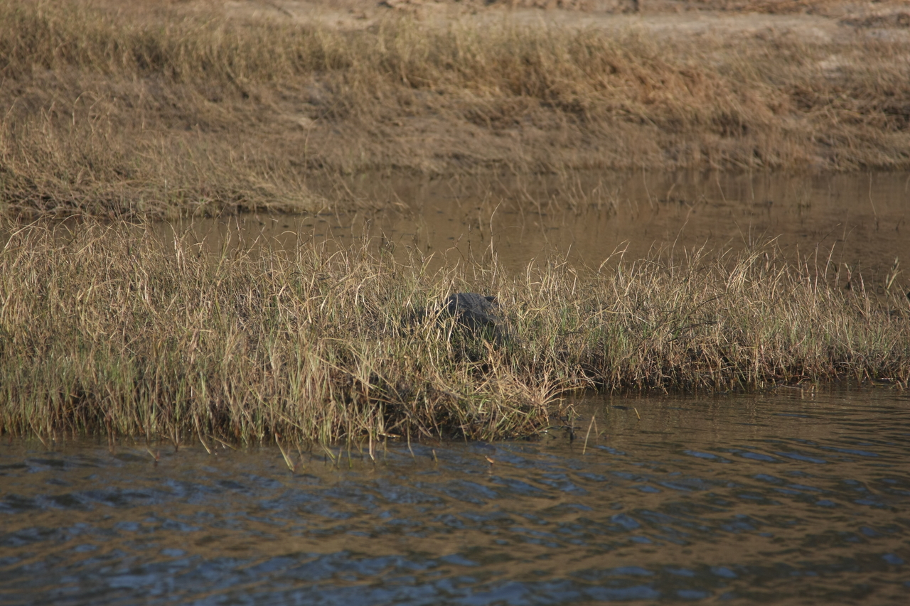 [28320] 2016_07_02_10_32_46_Africa_Canon_EOS_40D_IMG__00087.jpg