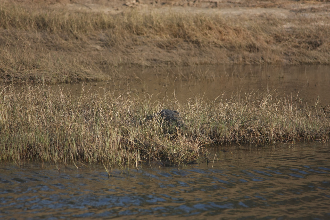 [28323] 2016_07_02_10_32_47_Africa_Canon_EOS_40D_IMG__00088.jpg