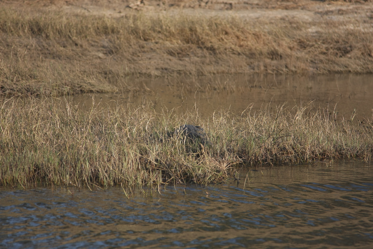 [28324] 2016_07_02_10_32_47_Africa_Canon_EOS_40D_IMG__00089.jpg