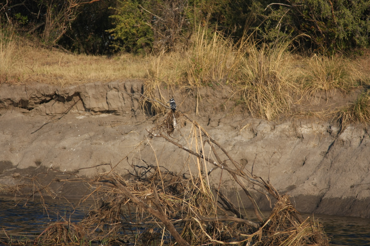 [28338] 2016_07_02_10_44_23_Africa_Canon_EOS_40D_IMG__04636.jpg