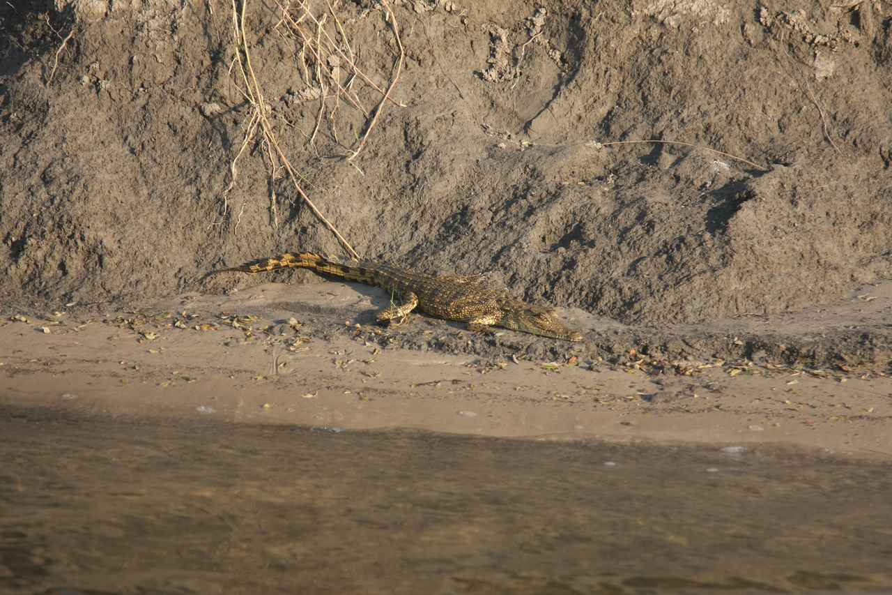 [28370] 2016_07_02_10_49_28_Africa_Canon_EOS_40D_IMG__12093.jpg