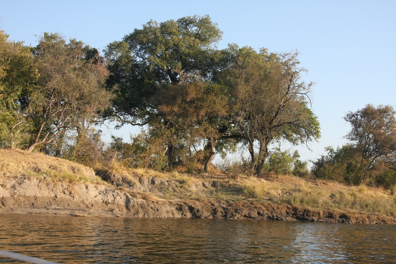 [28398] 2016_07_02_10_56_46_Africa_Canon_EOS_40D_IMG__04658.jpg