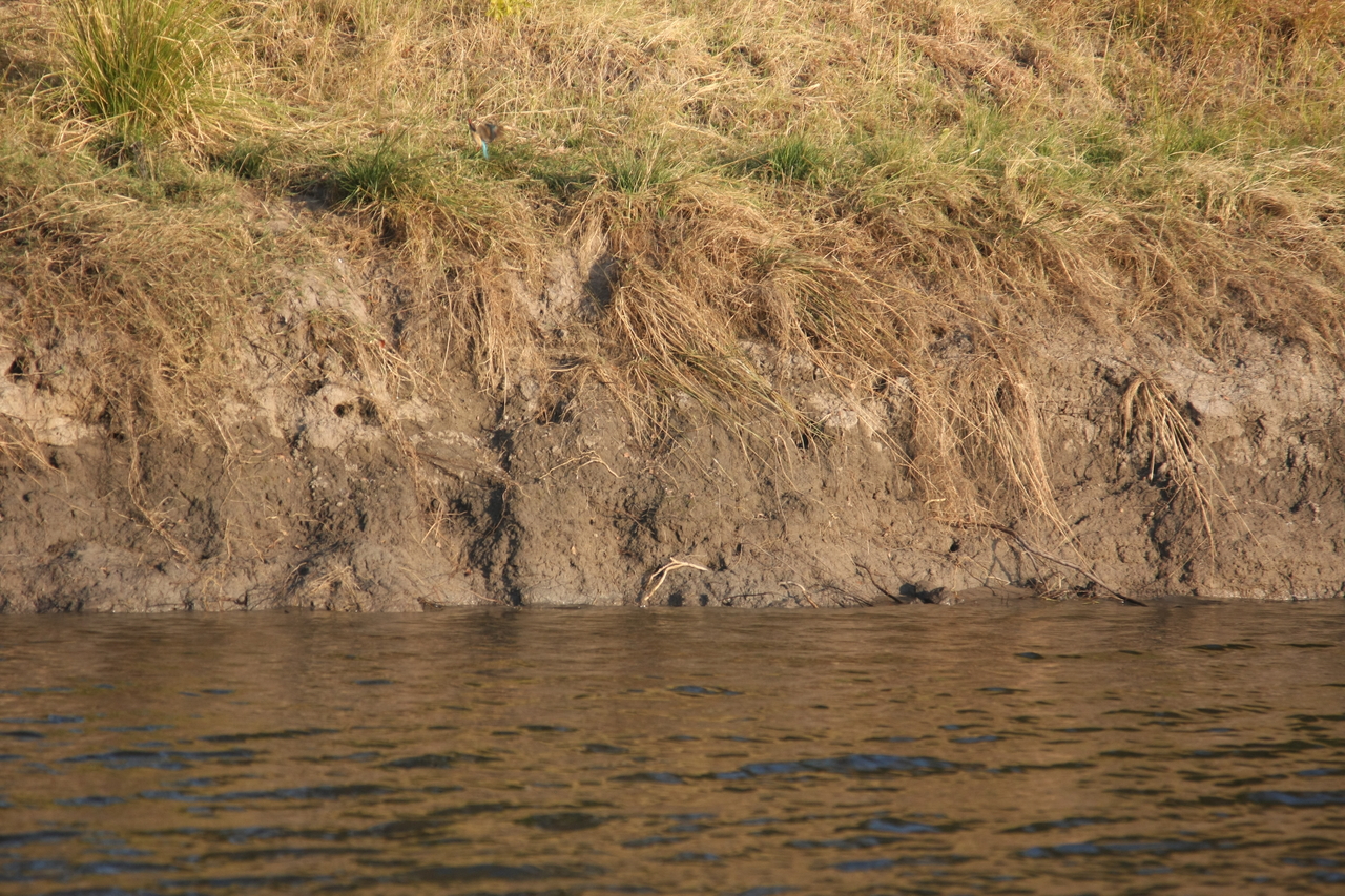 [28412] 2016_07_02_10_57_47_Africa_Canon_EOS_40D_IMG__12109.jpg