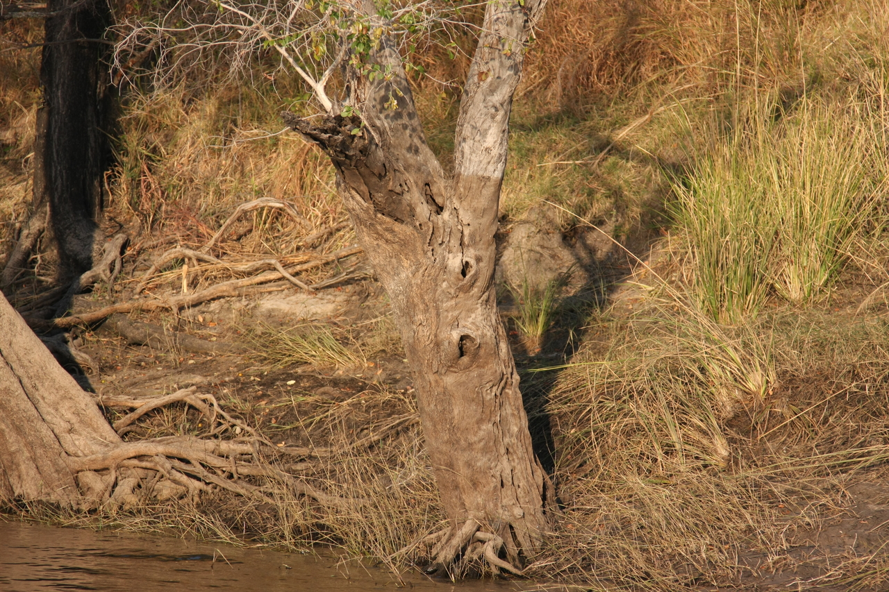 [28421] 2016_07_02_10_59_41_Africa_Canon_EOS_40D_IMG__12112.jpg